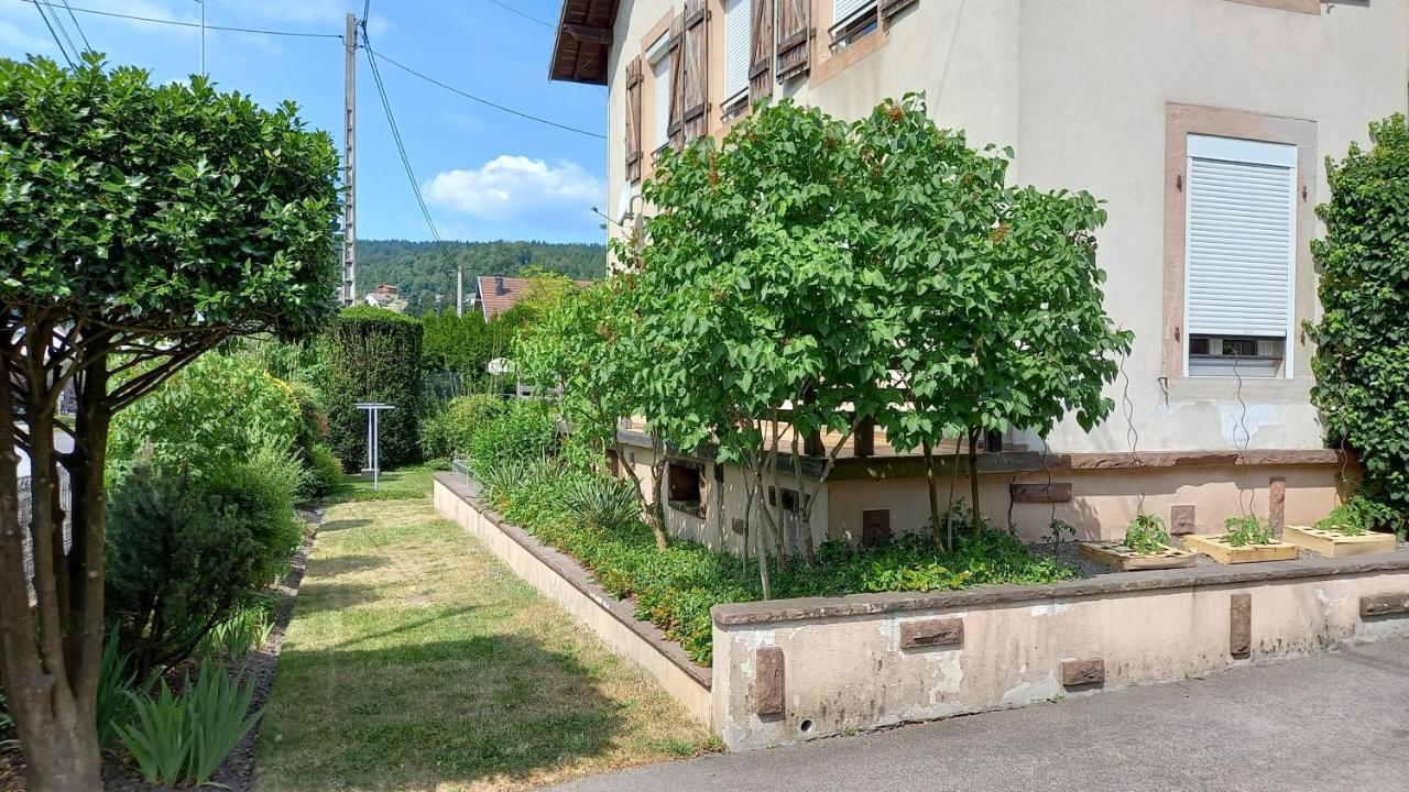 Studio d'hôtes à 10 km de Gérardmer (Le Tholy) Exterior foto